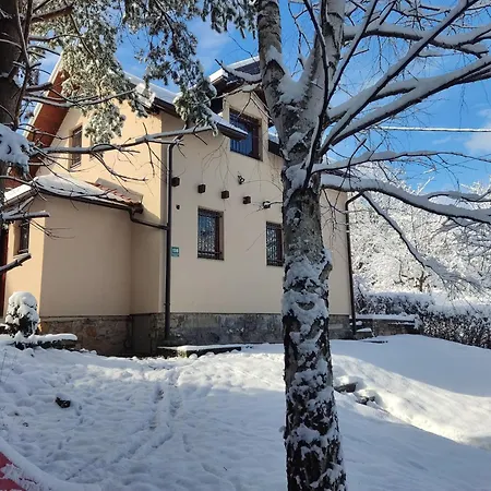House Sarajevo